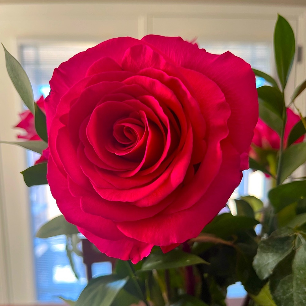 Meet your Posher, AC